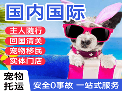 嫩江墨尔根空运代理国际宠物托运 【国